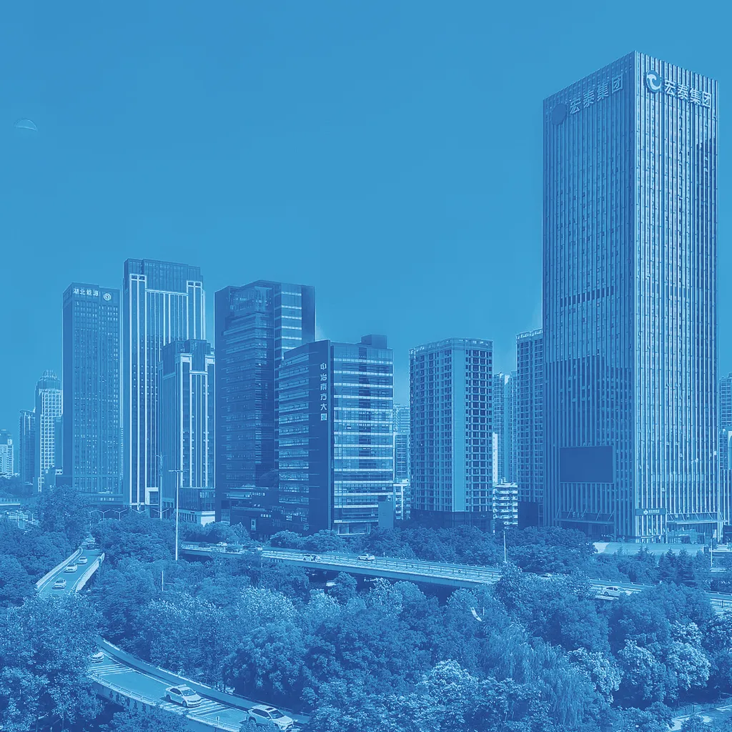 Wuhan logo